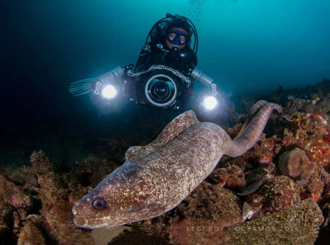 A diver’s paradise exists in Central America. Here are 5 places to dive in.